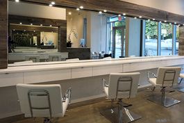 Salon 1